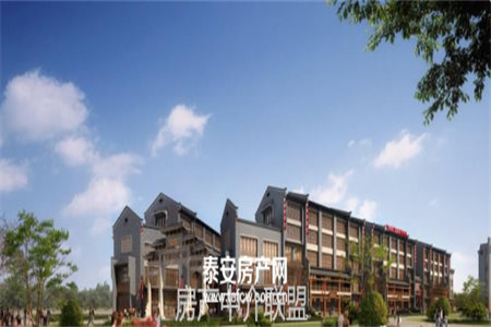 龙都花园2室2厅1卫77㎡带付房